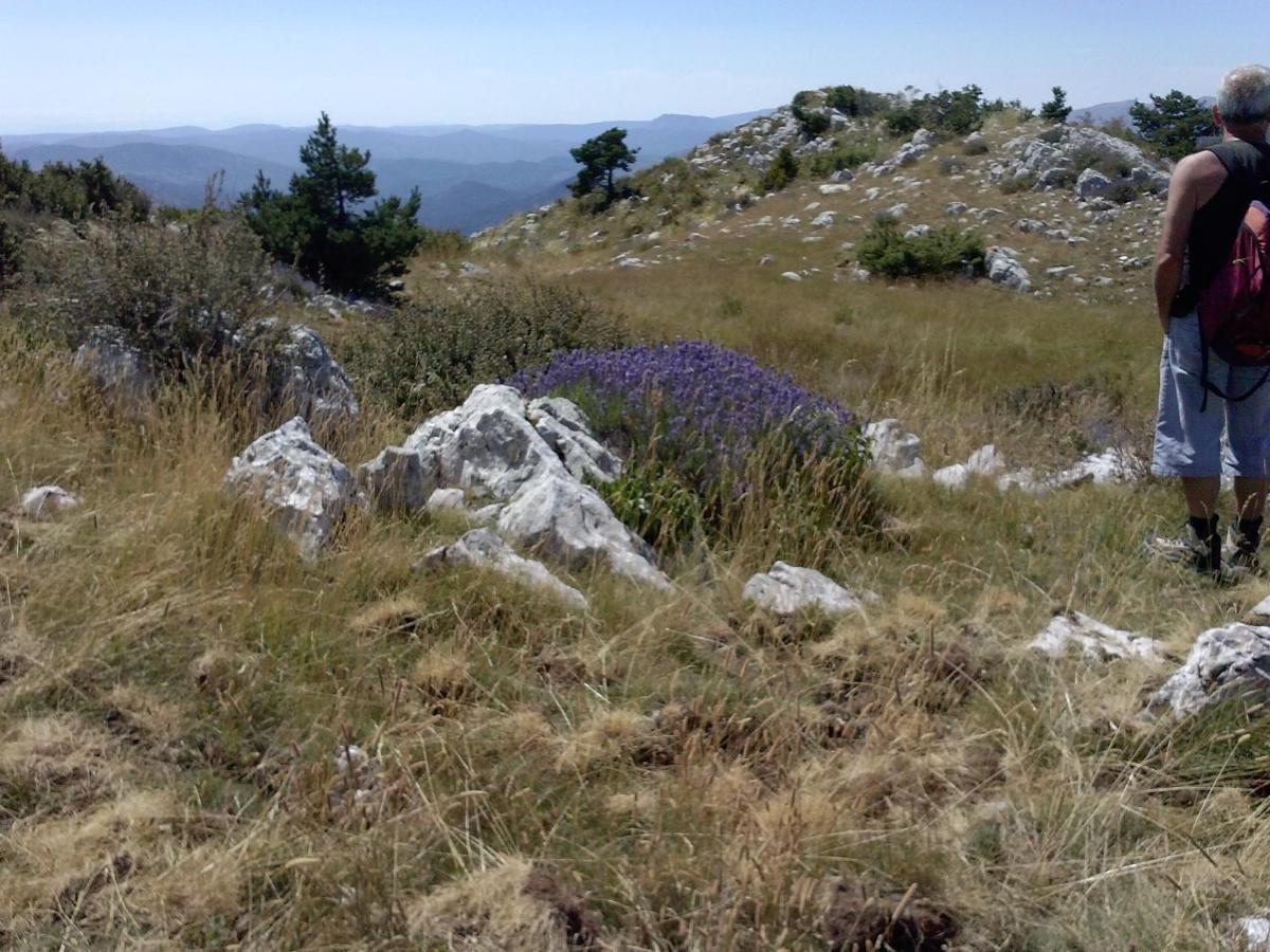 Gite La Foux De Peyroules エクステリア 写真
